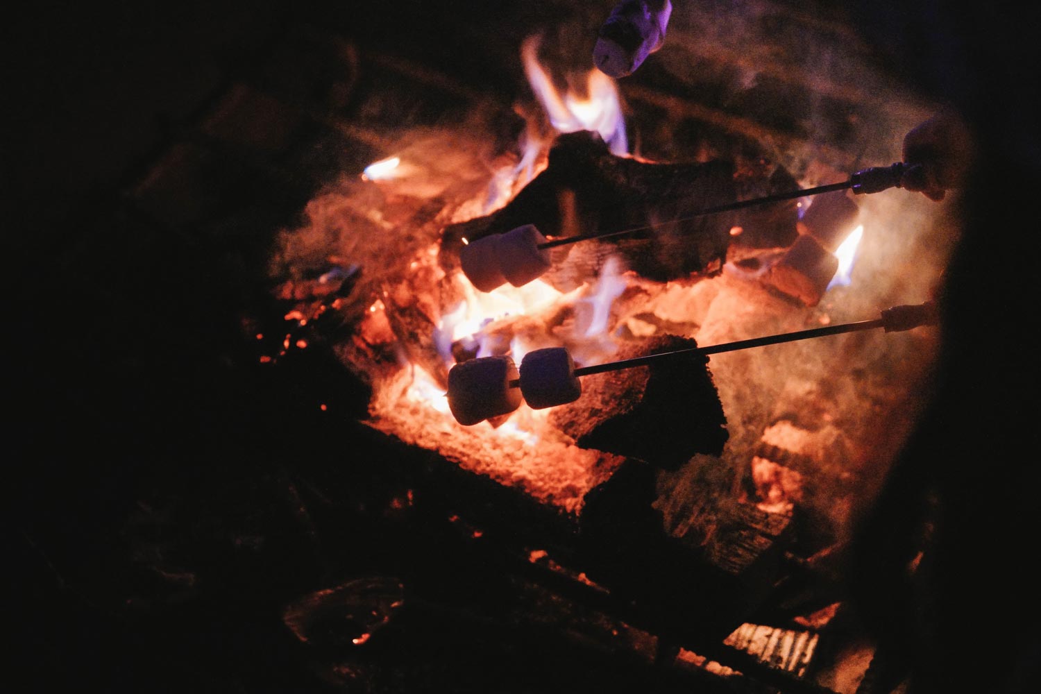 Garden firepit with logs. someone toasting marshmallows